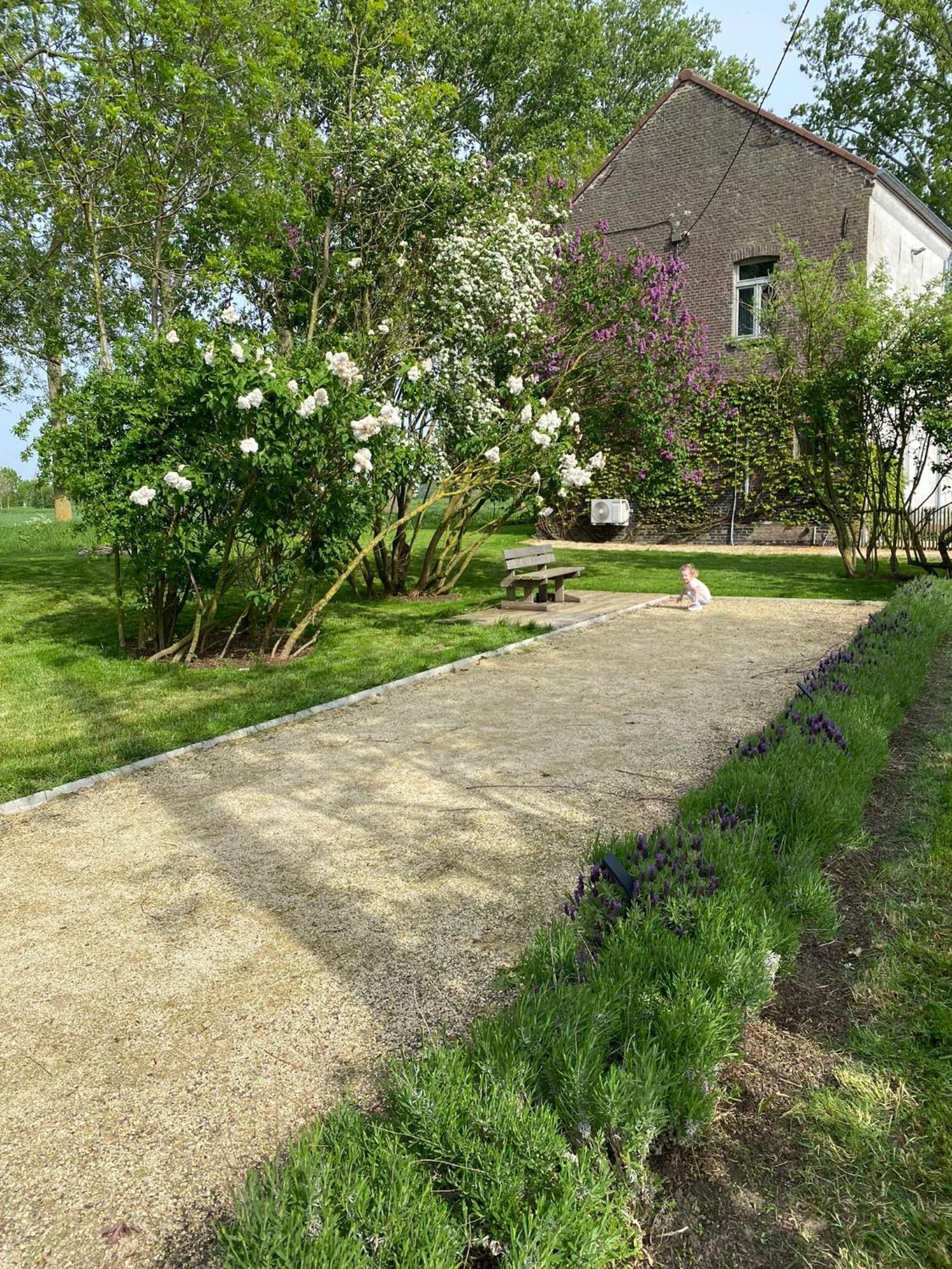 Huisje Aan De Schelde Spiere Exterior photo