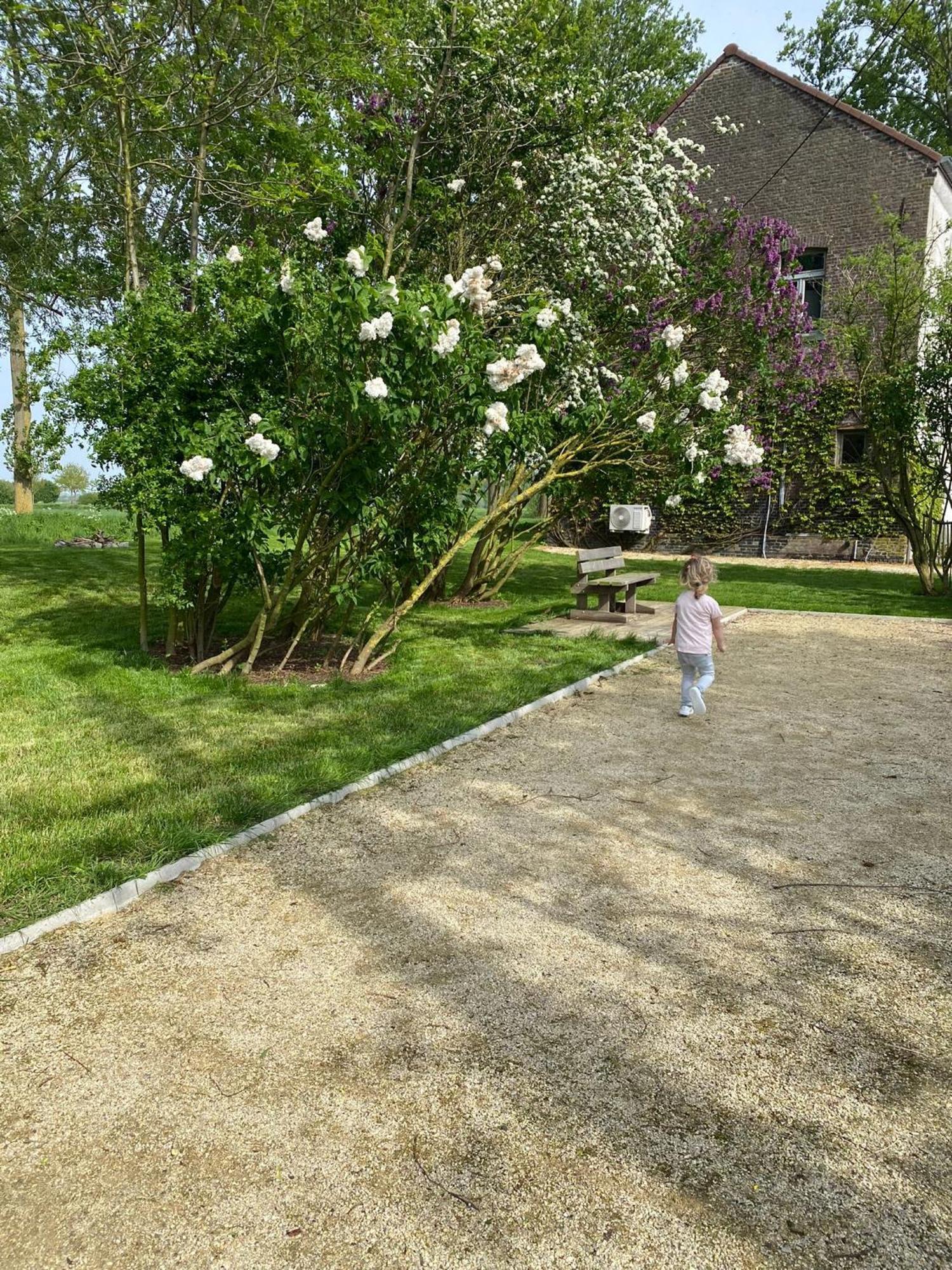 Huisje Aan De Schelde Spiere Exterior photo